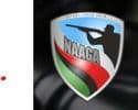 National African American Gun Association